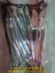 내만칼치ㅡ 쭉쭉 잘 올라옵니다 .텐빈.루어에1타1피 엄청납니다(오늘 예약가능) 사진