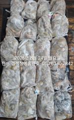 8월23일 굿조황 장원31수 군산 홈런호 야간 문어 마무리 조황 입니다.홈런호에 승선하신 조사님들 수고 하셨습니다.
