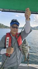 [사천] 비연호 내만 감성돔 사진