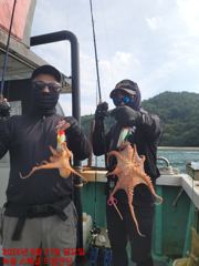 [문어] 고흥 스페셜드림