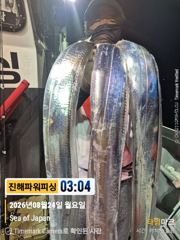 [갈치/텐빈/텐야]24일입항~오늘은요만큼[화.수.목.금]예약가능 사진