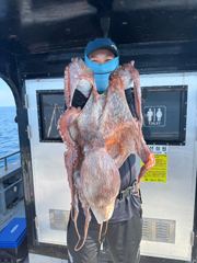강릉 성훈호 260824월 동해바다 대문어 피문어 체험 배낚시 크라켄 조황 (성훈호낚시TV) 사진