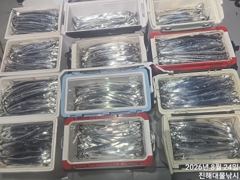 우와~24일새벽,내만칼치3지급까지 어마어마 쿨러넘쳐넘쳐 대박,화,수,목욜예약가능 사진
