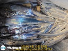 실시간ㅡ내만칼치ㅡ엄청나게 올라오네요.물반.칼치반 (예약가능) 사진