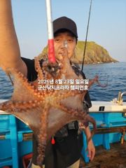 8/23일, 야간문어가 싸이즈 좋아요~부쩍커진 문어들-좋아요~오늘도 야간문어갑니다~"생미끼, 민어,농어,광어 8월 평일~선비 빅이벤트(선비8만)"~~군산 챔피언호 사진