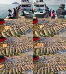 ♥붉바리들..이정도는 잡아봐야지요 초대박 붉바리조황입니다[2026년08월24일] ◎ 해마루호가 뜨는이유? 조황때문이죠 ◎ 핵심포인트: 바로진입.. 바로히트.. ▣ 차원이 다른 조황으로 모십니다 ▣ 요즘 붉바리낚시가 대세입니다 사진