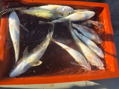 2026년 8월 24일 오후체험 낚시 사진