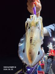 [통영] 팁런 낚시도즐기고 이벤트당첨 노려보자~~ 사진