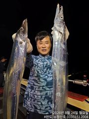 [완도 청산호] 26.08.24 씨알 좋은 최대 6지까지. 갈치 조황 입니다. 찾아주신 조사님들 감사합니다. 사진