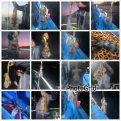[통영] 뉴 해병호 무늬오징어 여기저기 히트히트 굿굿 1항차자리여유 2항… 사진