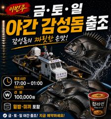 26일(수)마릿수감성돔출조합니다 사진