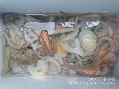 "돌문어" 키로외 덩치들 133수이상~개인17수15수14수13수13수등 전원 마릿수손맛 조황~^^