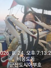 8.24 도시어부호 야간 꽃게 대박 조황 사진