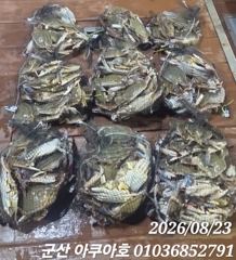 꽃게 선상낚시 ,(생미끼 우럭광어) 예약가능