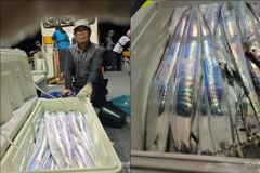 목감낚시 23일철수 갈치 조황입니다! 사진