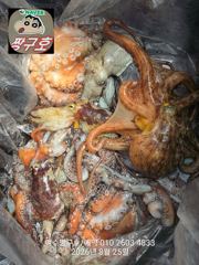 여수 짱구호 8월25일(화)  문어(총100여수)조황  사진