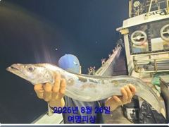 준내만갈치~6지갈치!3지4지!씨알끝장!엄청잡아(금,일,월쭉~예약가능) 사진