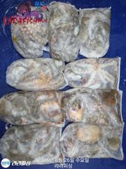 25일(야간문어) 마리수굿 덩치들굿굿 퍽퍽(목요일 예약가능) 사진