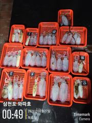 어제 수요일 팁런 조황입니다  사진