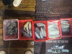 8월26일 무늬오징어 팁런조황입니다. 사진