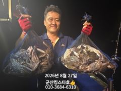[군산] 군산킹스타호(8/26~)야간꽃게낚시 마무리조황 (8/28야간꽃게… 사진