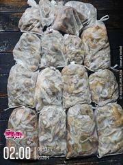 [8월 26일] 군산 뉴세븐호 야간문어 조황 - 키로오버도 등장! 전원 손맛 보고 입항 | 오늘 야간문어 자리 있습니다 사진