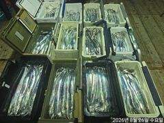 준내만갈치4지급씨알굿~쿨러만당손맛입맛굿~굿 사진