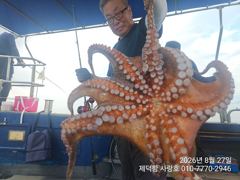 [진해] "돌문어" 6kg 1800g1400kg등 개인17수15수13수1… 사진