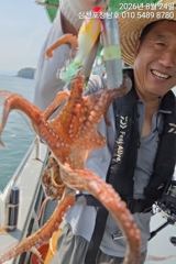 [사천] 문어 내일오전10시출조확정 자리여유 사진