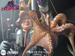 (야간낙지) 덩치들잡으로가즈아~금요일 달립니다 (토욜 주.야.예약가능) 사진