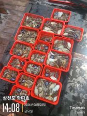 오늘 팁런 모집중입니다  사진