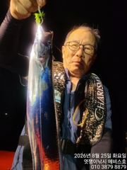 은빛 대 갈치들 씨알급  일요일 부터 가능 사진