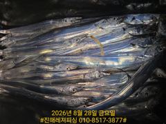 내만칼치ㅡ엄청 올라옵니다,밤새도록 피딩에 쿨러가득(토.일. 예약가능) 사진