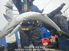 28/금, 오후타임 대삼치들 낚시 중간 현재상황!