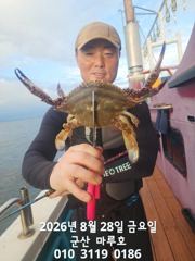 8월 28일 야간 꽃게  군산 마루호  실시간조항~~