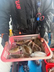 갑돌이 장원 40수! 주말 자리 널널~
