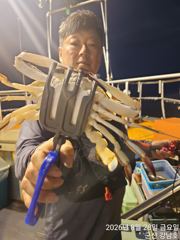[군산] 8/28 금요일 군산최강피싱 <#강남호> 야간꽃게낚시 실시간