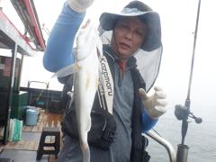 8,28 백조기(열한분) 조황