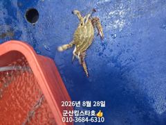 군산킹스타호(8/28)야간꽃게마무리조황(10분) 8/29출조합니다.예약가능