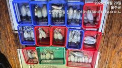 28.팀런초보조사님들전원힛또힛또 ~~