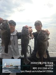 8/29일, 아~싸~! 먼침선, 개우럭~6짜 2마리, 65cm대물까정 3마리~쌍걸이등 실시간 ~오늘 야간 문어 출항합니다~~강추~군산 하이원호