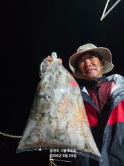 [사천] 삼천포 돌문어조황! 주간반, 야간반 매일출조!