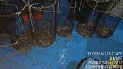 [마산] 야간돌 문어 8분서 90수오버 굿굿 매일 출항합니다 개인 두자리…