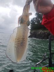 야간 무늬 팁런 !! 힘든 하루 1등 10수...2등 9수...