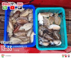 [사천] 내만에..웬 한치가..내일자리여유 사진