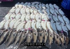 << 팀 인천 루키나 >> 08. 29. 8물 << 루키나 V 생새우 외수질 다잡아 이벤트 >> 사진