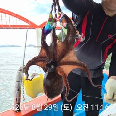[사천] 암초 포인트 문어 낚시 사진