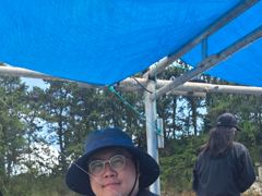 29일 문어