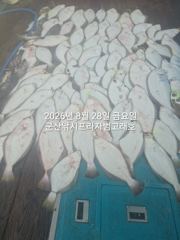 실시간 조황 - 28일, 대광어 참 무쟈게 나오네요. 웬 광어가 이리도 나오는지~대대박~내일도 갑니다~ 군산 범고래호 사진
