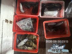 8월29일 무늬오징어 팁런조과입니다. 사진